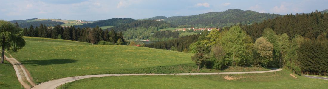 Sanfte Huegel praegen das Bild im suedlichen Bayerischen Wald